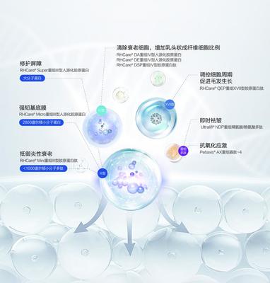 重組膠原蛋白賽道的創(chuàng)新解題思路 對話迪諾薇華孫璞談細(xì)胞技術(shù)研發(fā)與應(yīng)用
