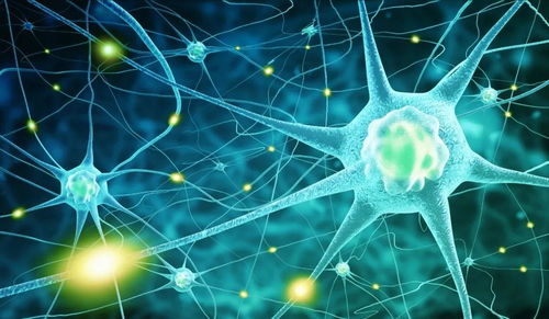 中芬咖楷惺生物 細胞治療——一個冉冉升起的未來醫(yī)學新支柱