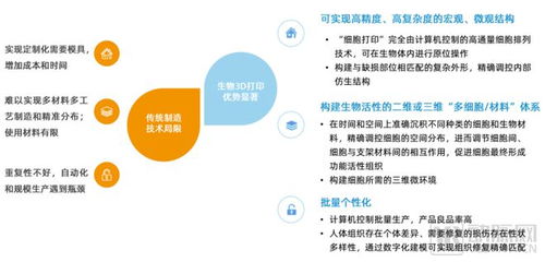 技術(shù)替代與商業(yè)化雙輪驅(qū)動(dòng) 細(xì)胞再生材料與組織工程成潛力賽道