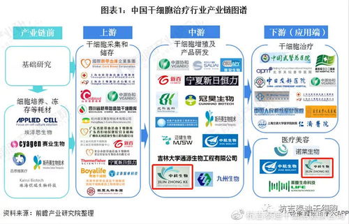 6大趨勢告訴你 中國干細胞治療在技術領域前景非?？捎^